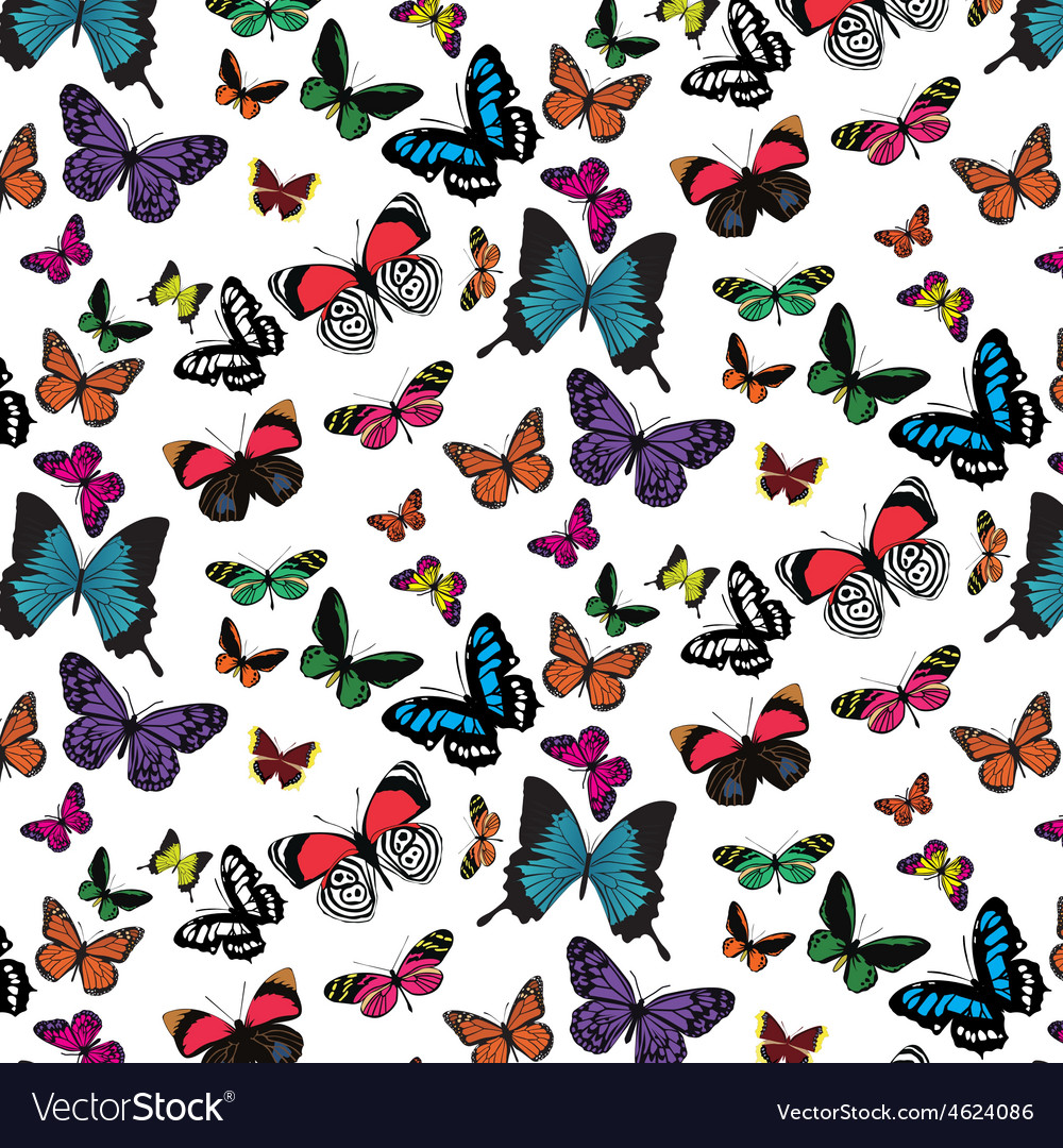 Butterfly pattern Royalty Free Vector Image - VectorStock