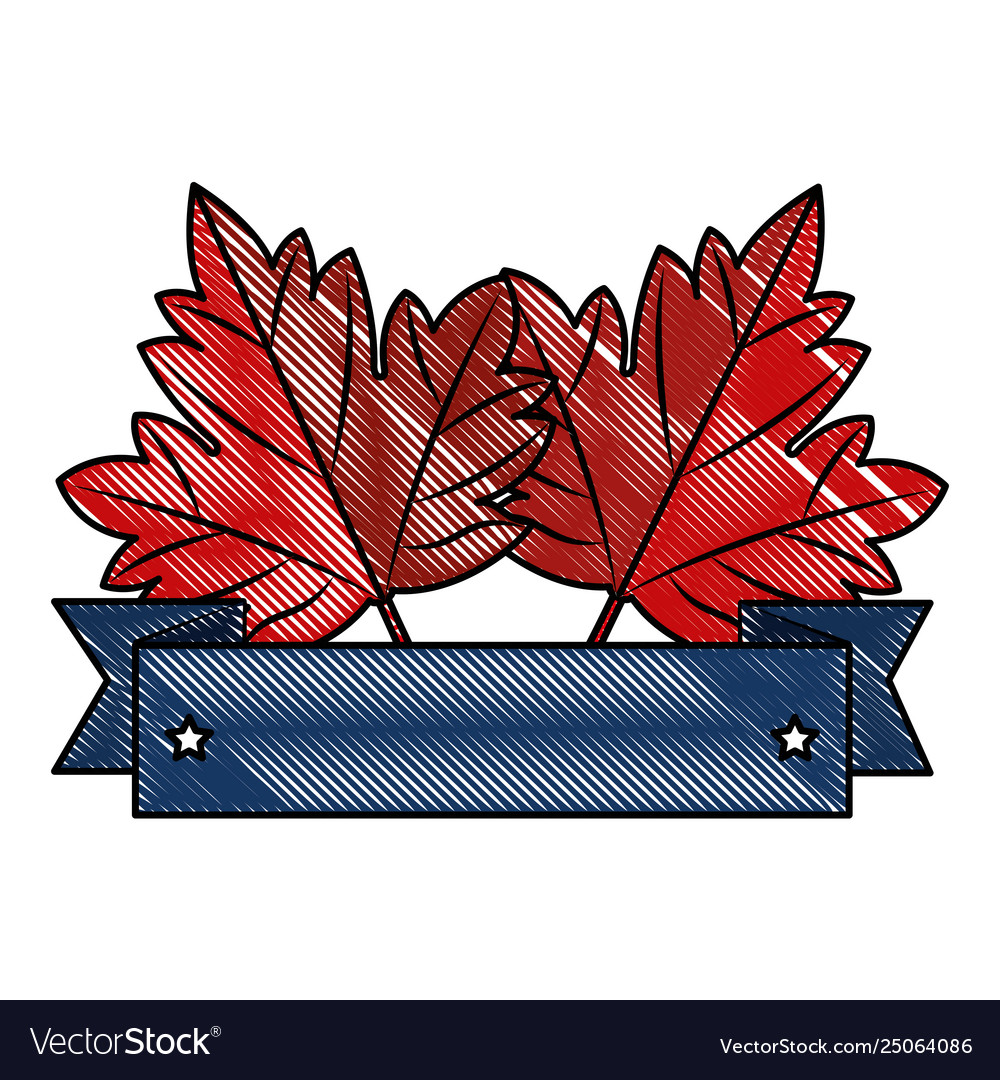 Maple leaf emblem icon Royalty Free Vector Image