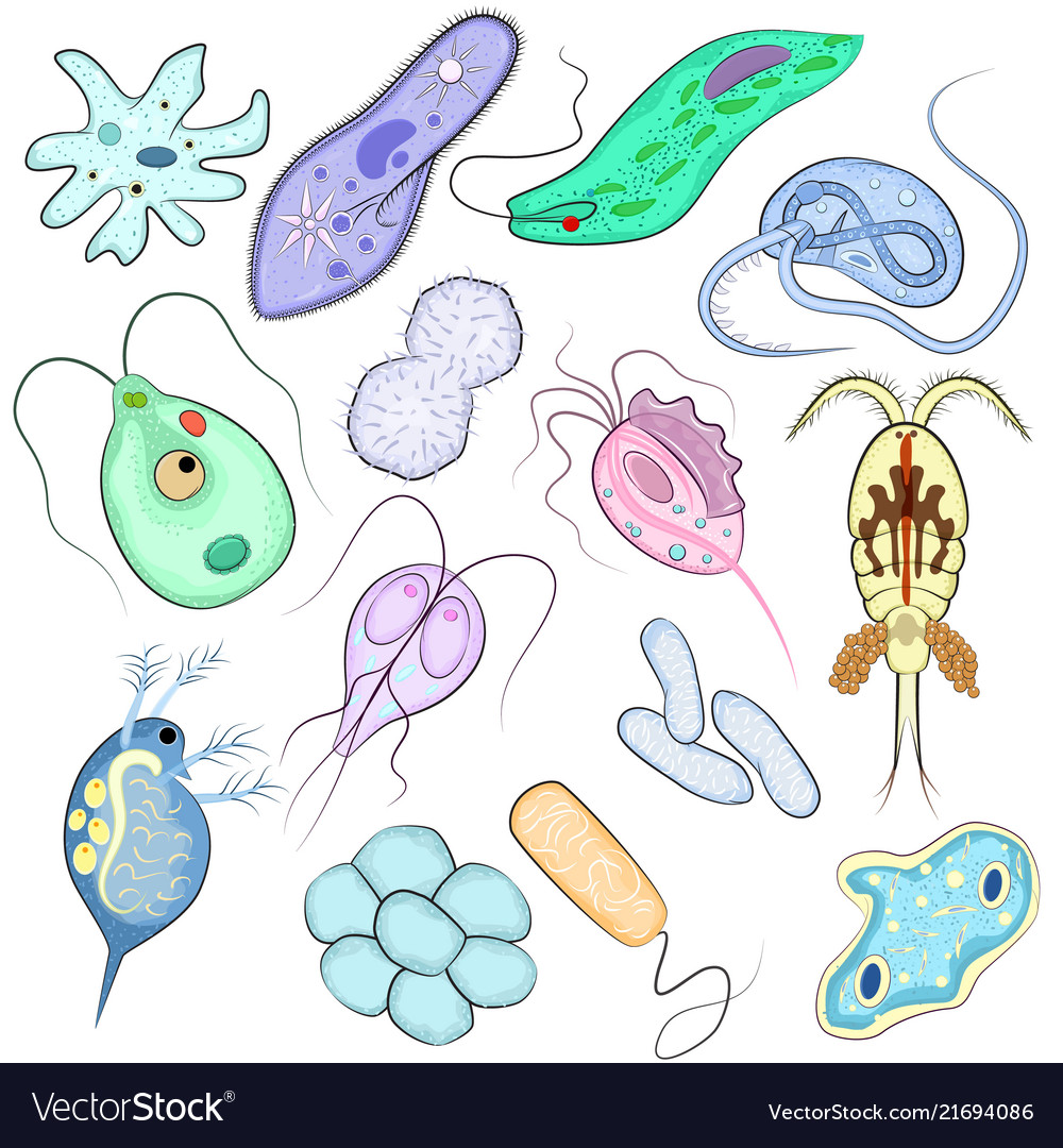 Virus bacterial infection virus-like Royalty Free Vector