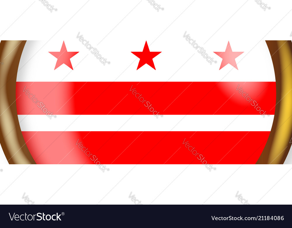 Washington dc proud flag button