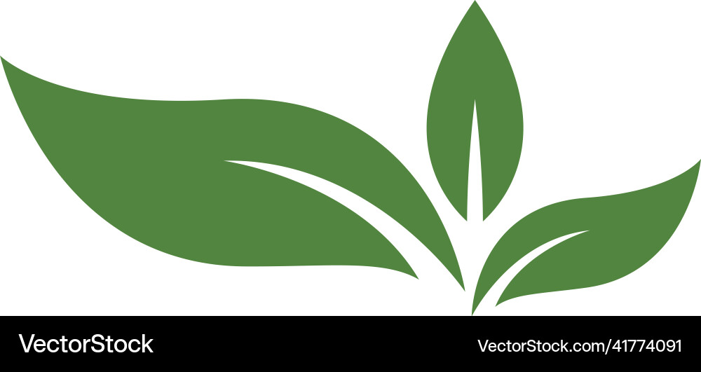 Eco tree leaf Royalty Free Vector Image - VectorStock