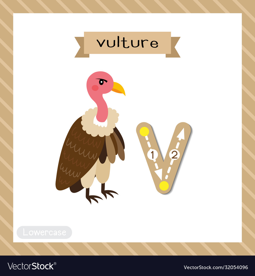 Letter v lowercase tracing vulture bird Royalty Free Vector Letter v lowercase tracing vulture bird Royalty Free Vector