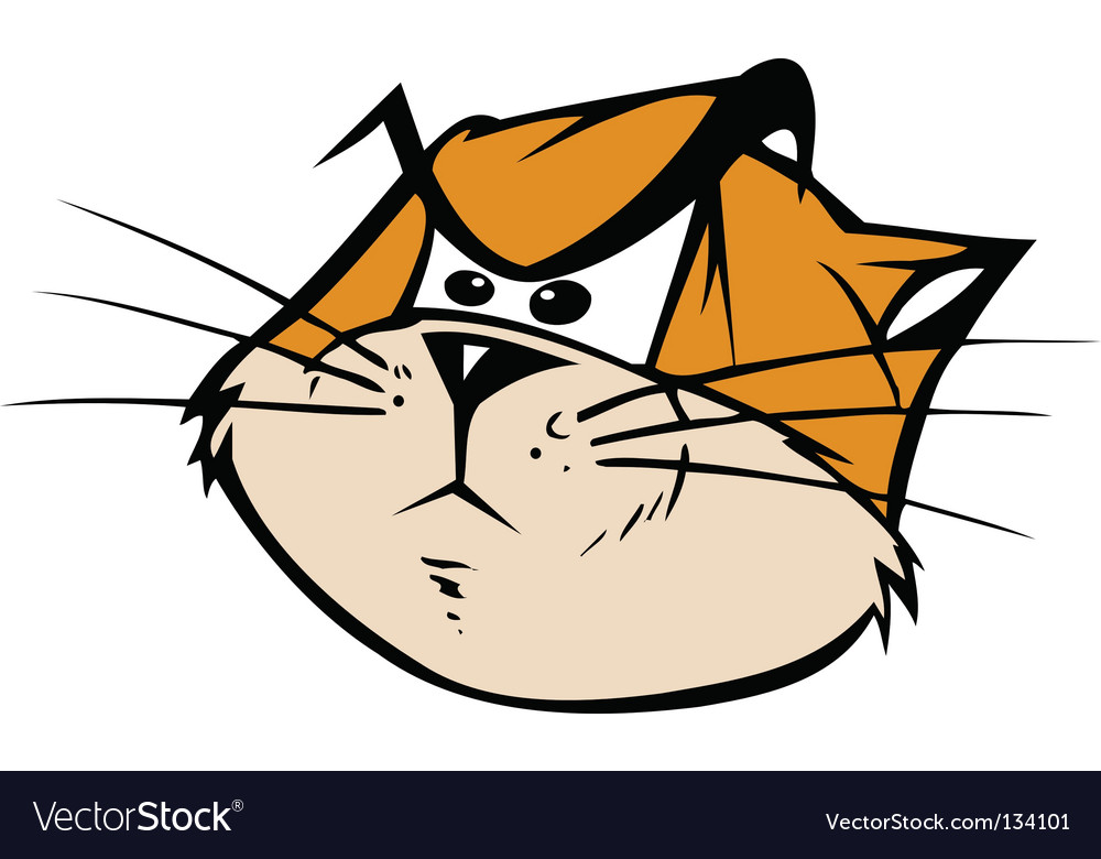 Angry cat face Royalty Free Vector Image - VectorStock