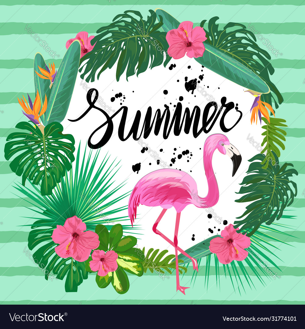 Brigh template with exotic flowers and plants and Vector Image