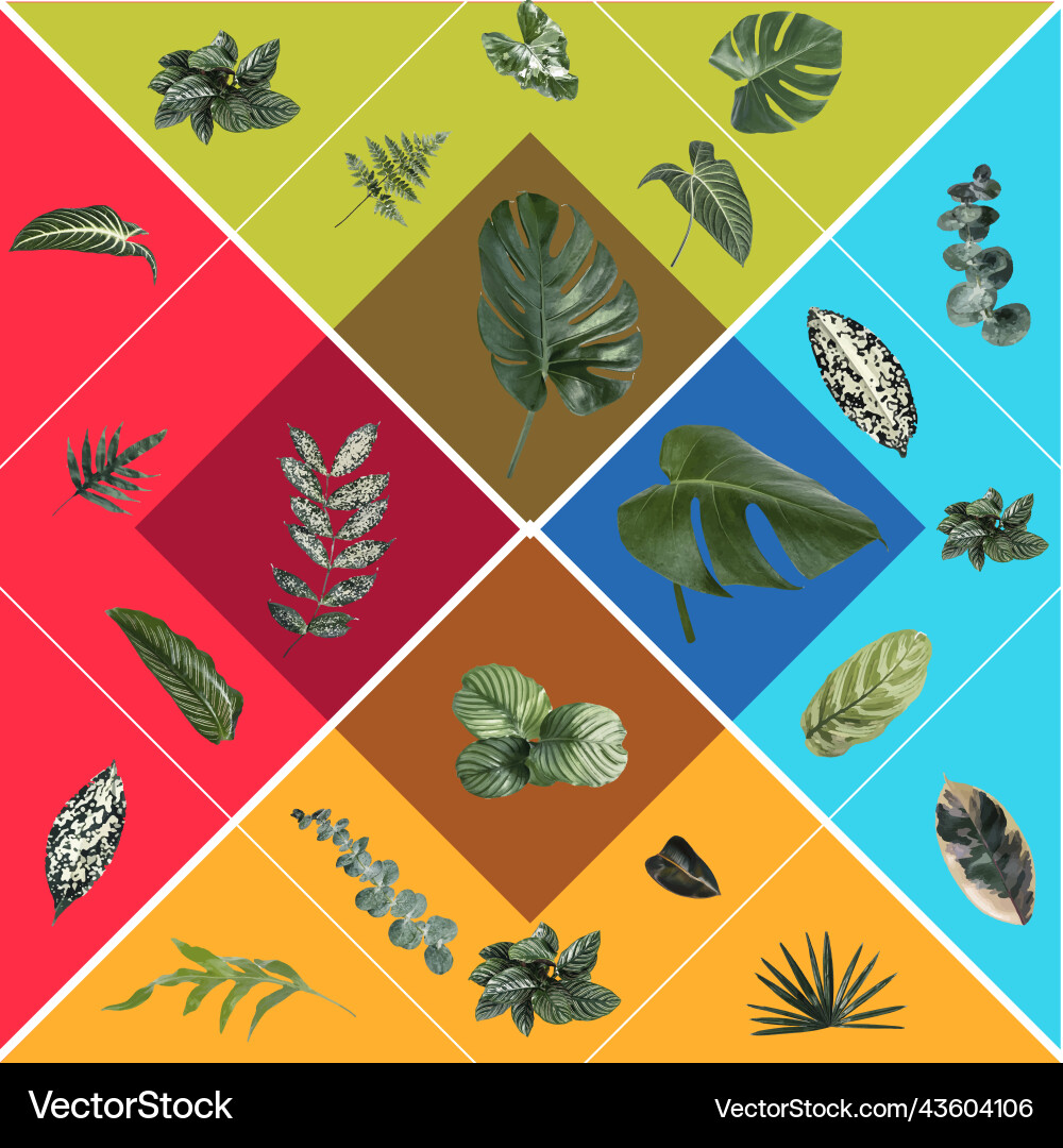 Gren tropical leaf design element set Royalty Free Vector