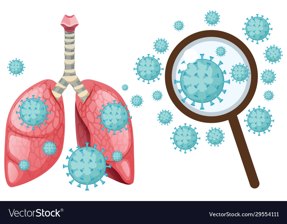 Coronavirus cell in human lungs on white