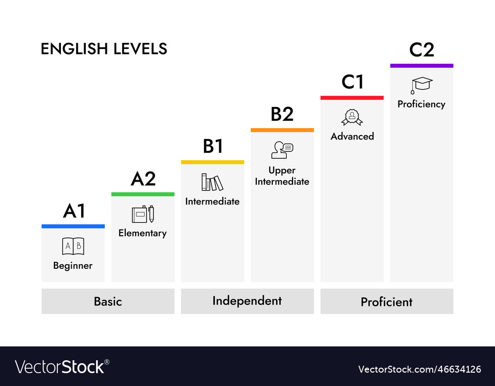 English levels infographics steps Royalty Free Vector Image
