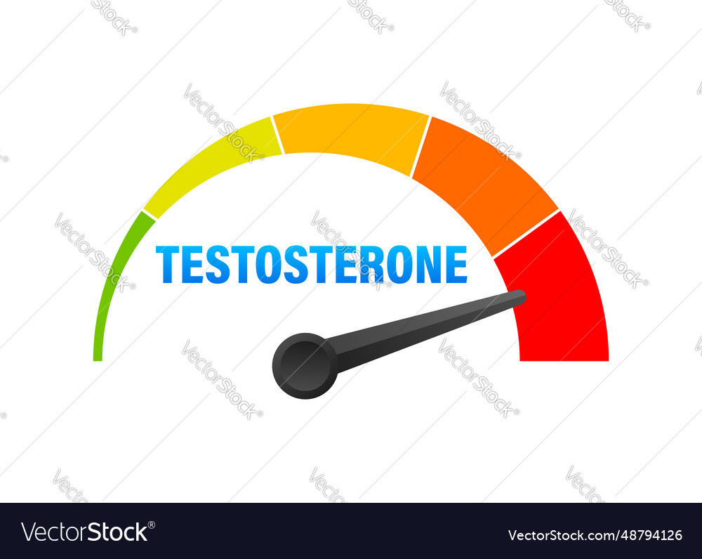 Testosterone Level Meter Measuring Scale Hormone Vector Image