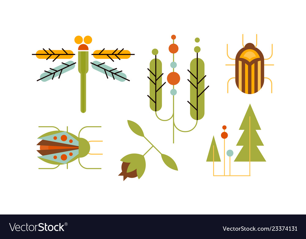 Collection of insects and trees nature