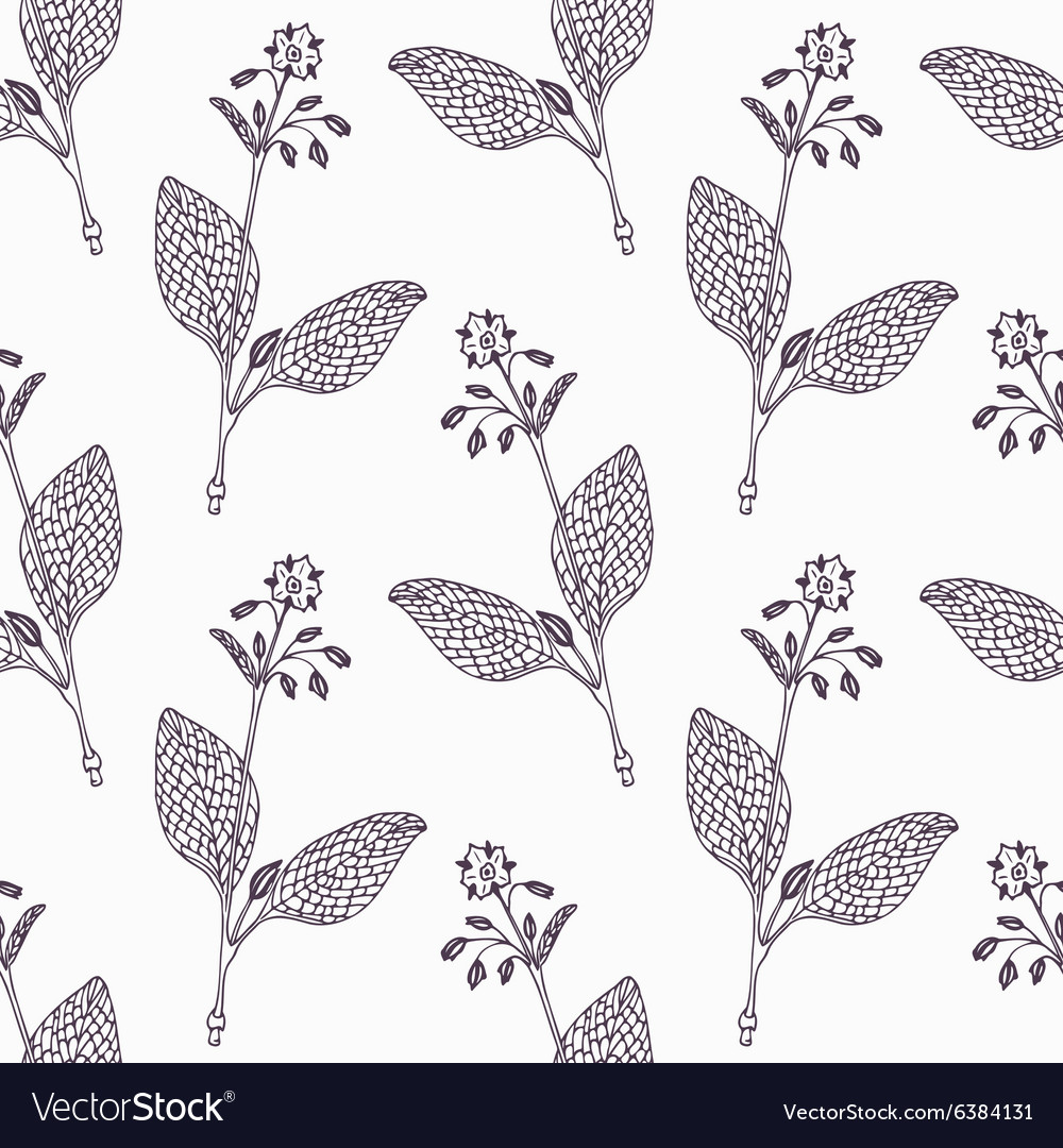 Hand drawn borage branch outline seamless pattern