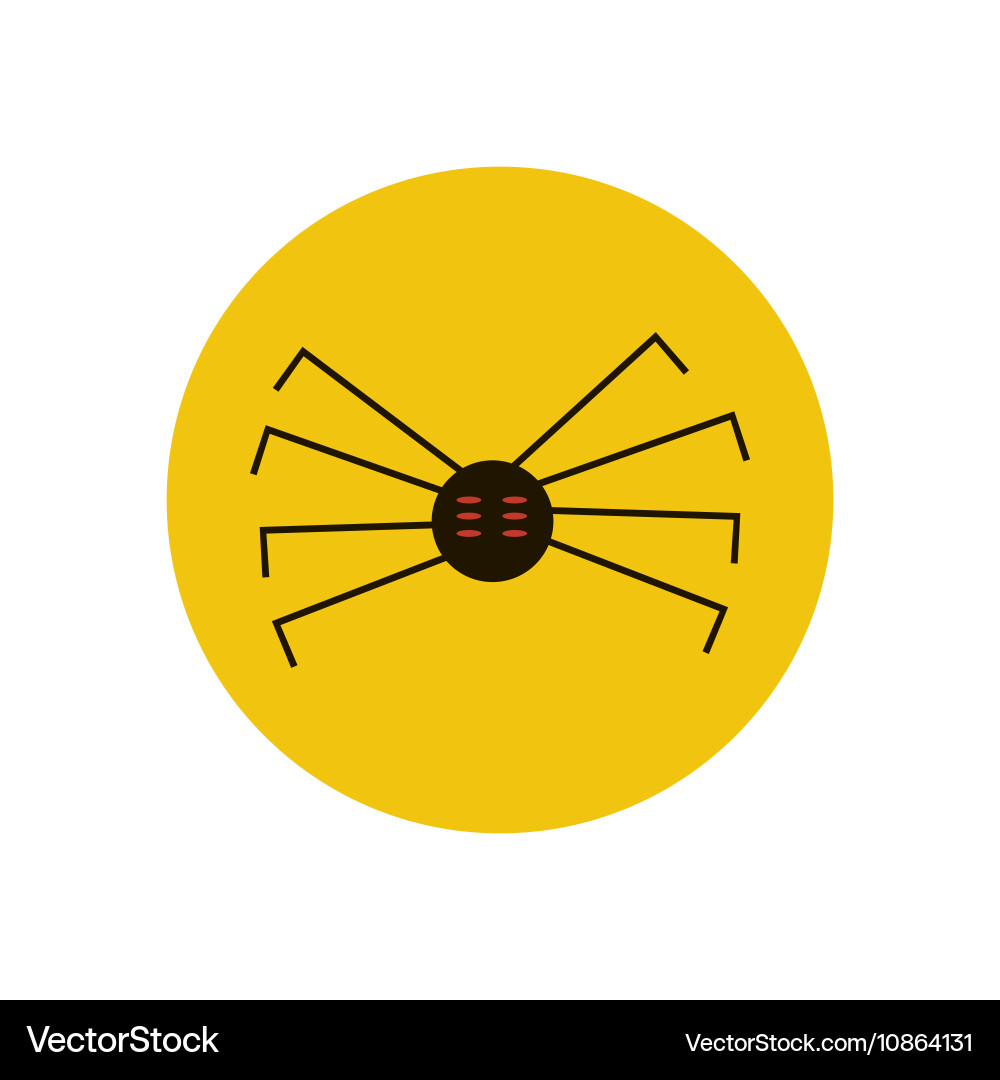 Spider Royalty Free Vector Image - VectorStock