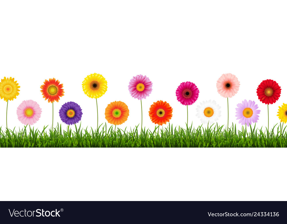 Download Border color gerber Royalty Free Vector Image - VectorStock