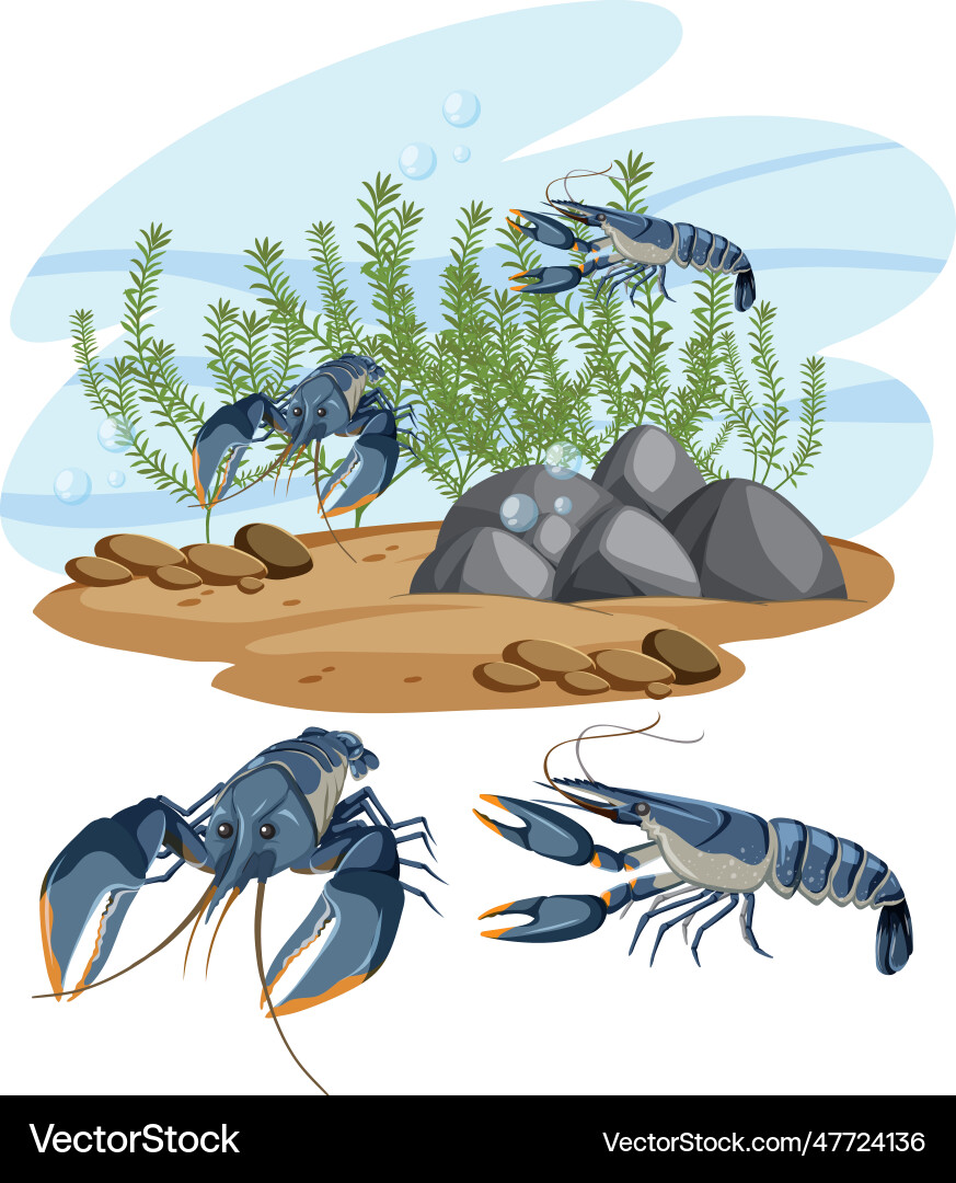 Lobster in its natural habitat Royalty Free Vector Image
