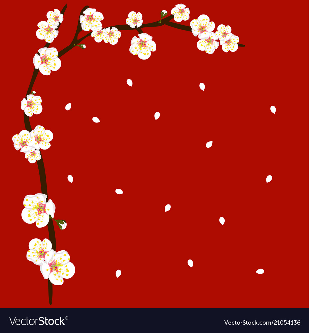 White plum blossom flower border on red background