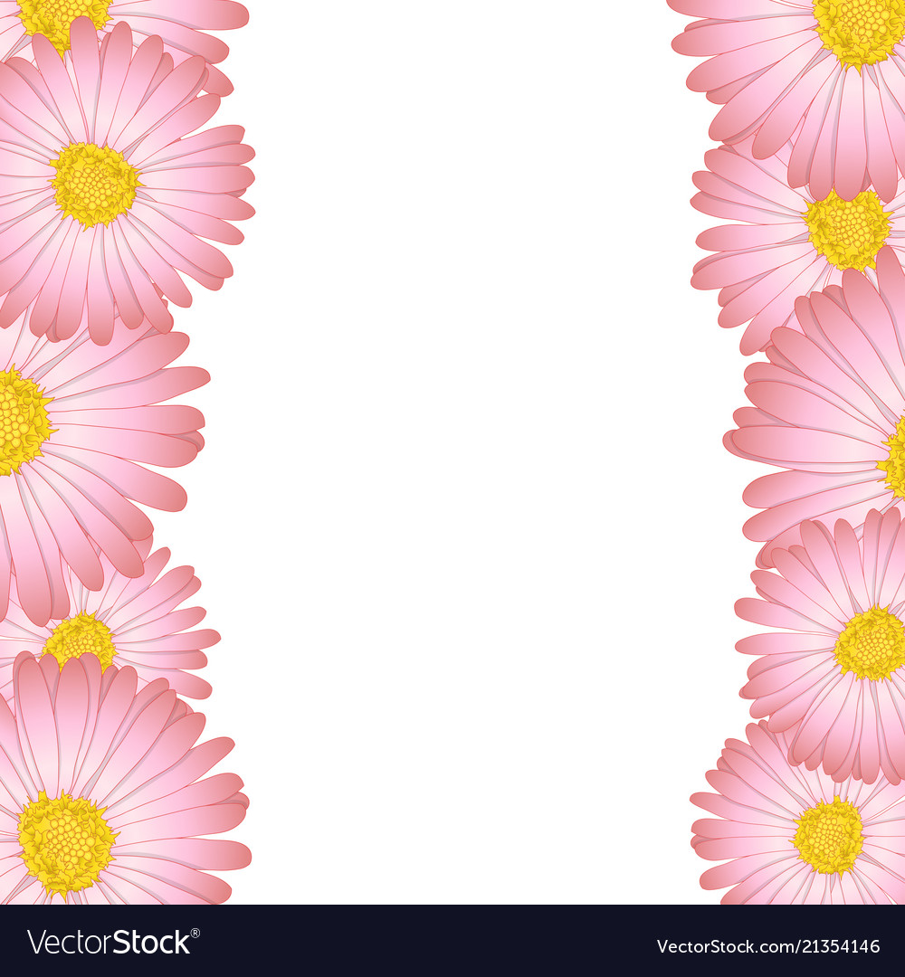 Download Pink aster daisy flower border Royalty Free Vector Image