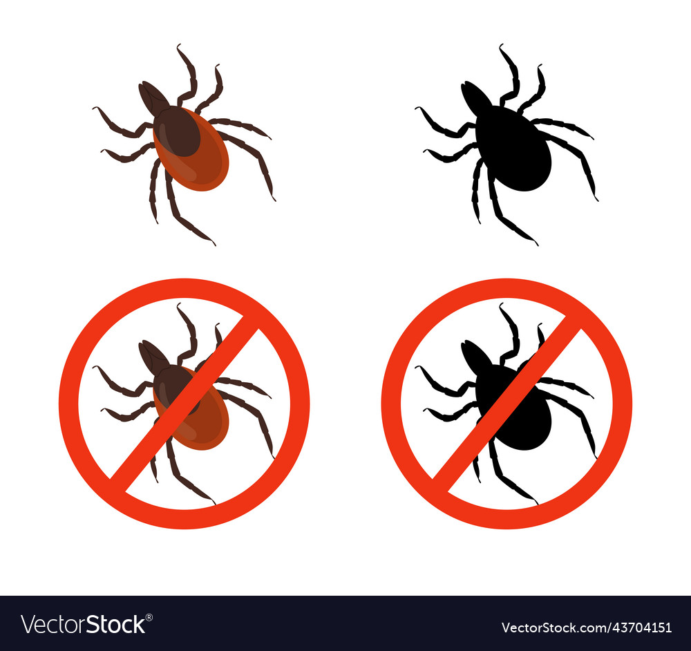 Encephalitis tick insects and symbols stop ticks Vector Image