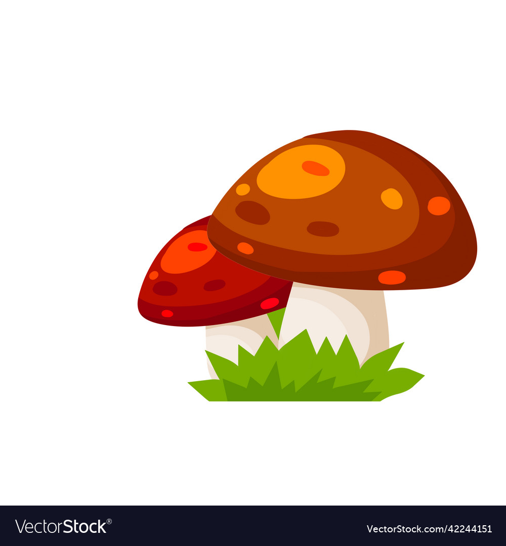 Mushroom with a red cap