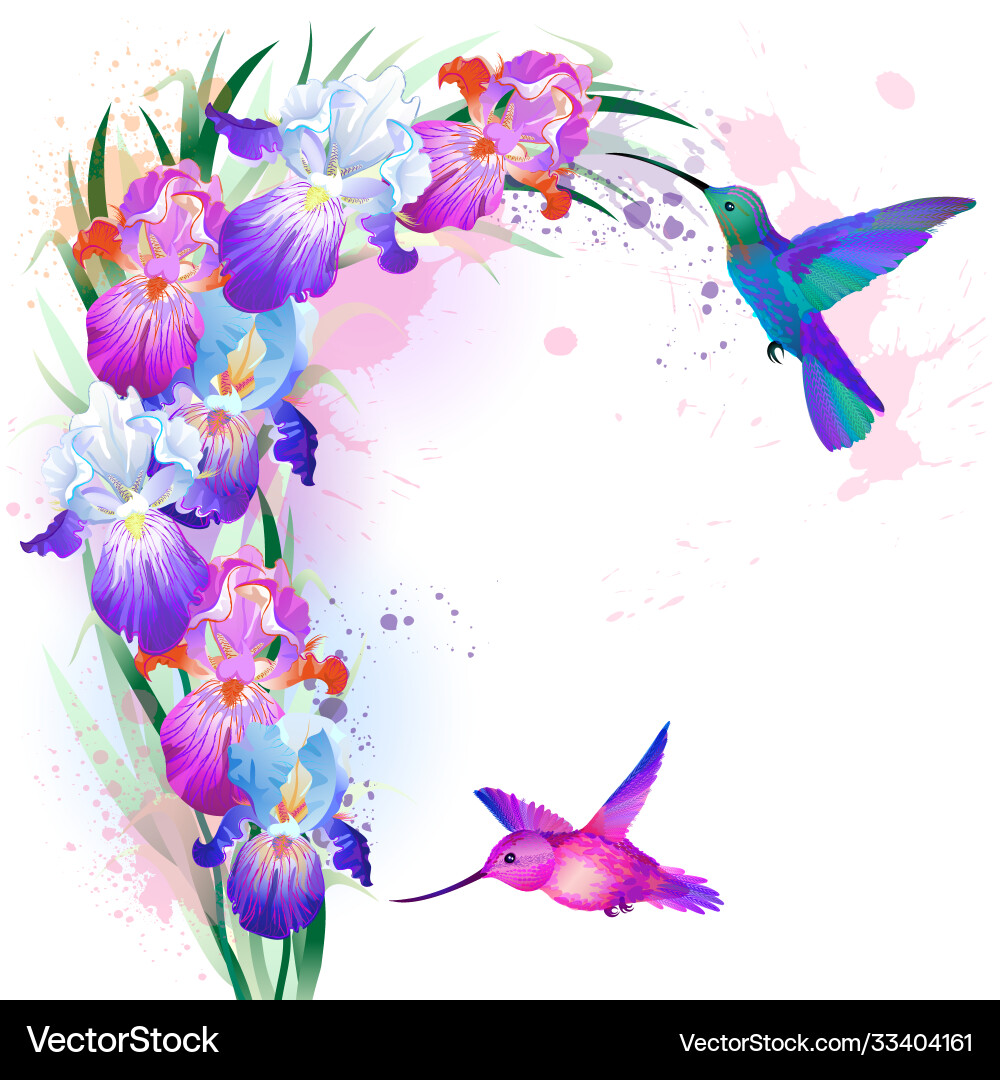 Purple Hummingbirds And Flowers