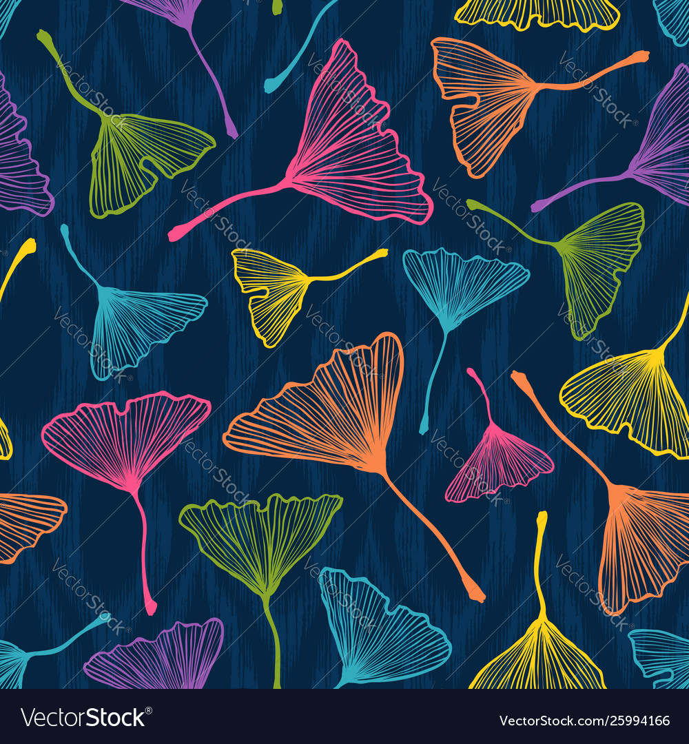 Ginkgo biloba leaves Royalty Free Vector Image Ginkgo biloba leaves vector image on VectorStock
