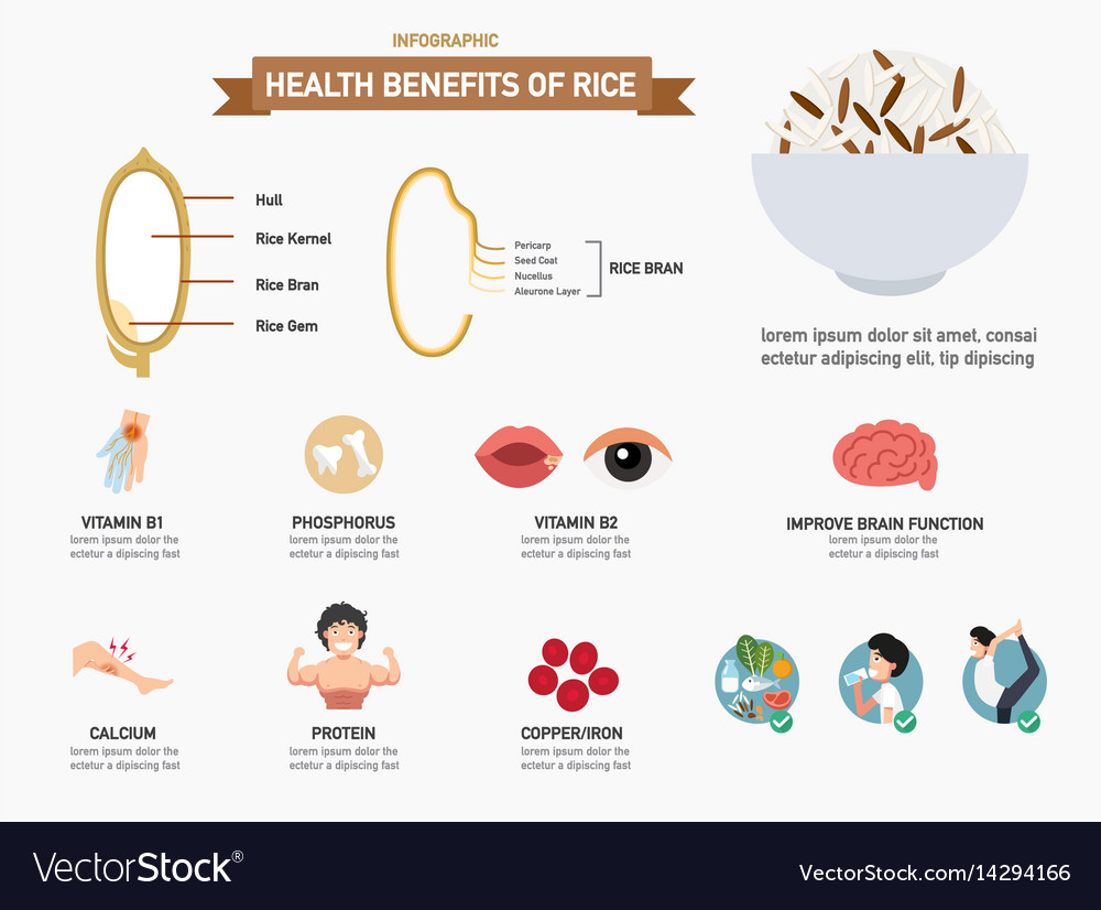 Health benefits of rice infographics Royalty Free Vector