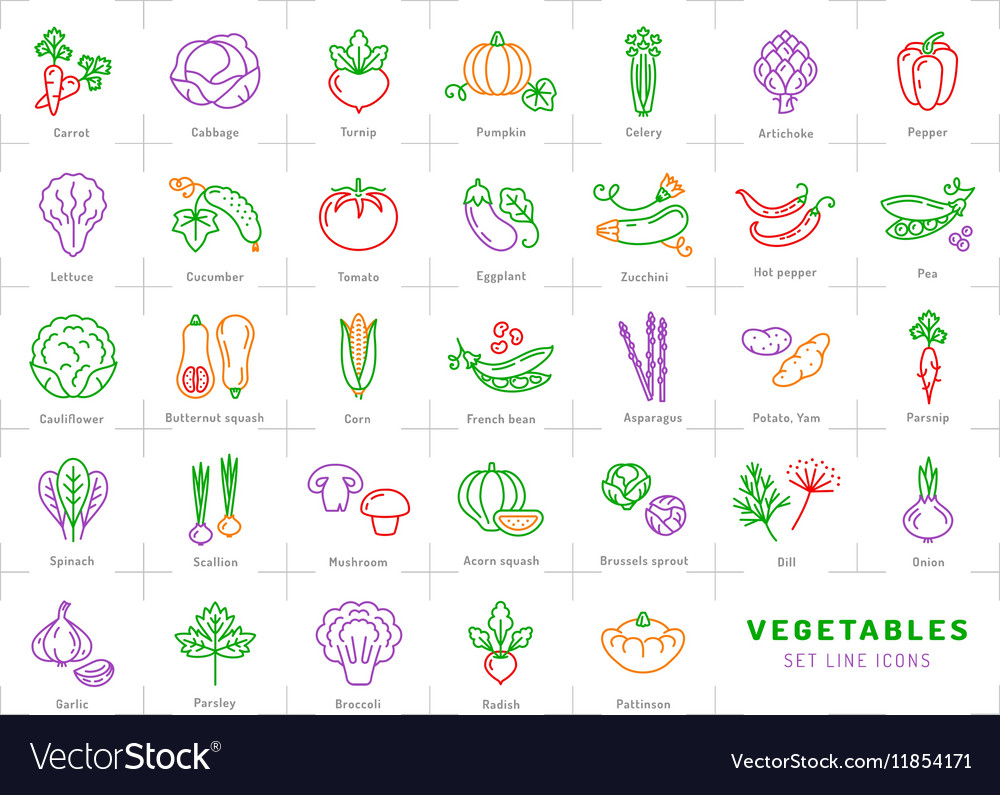 Vegetables line icons set isolated Spices logo Vector Image