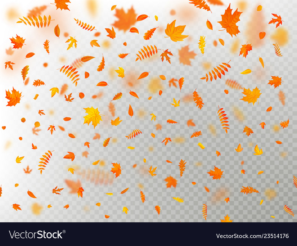 falling leaves after effects download