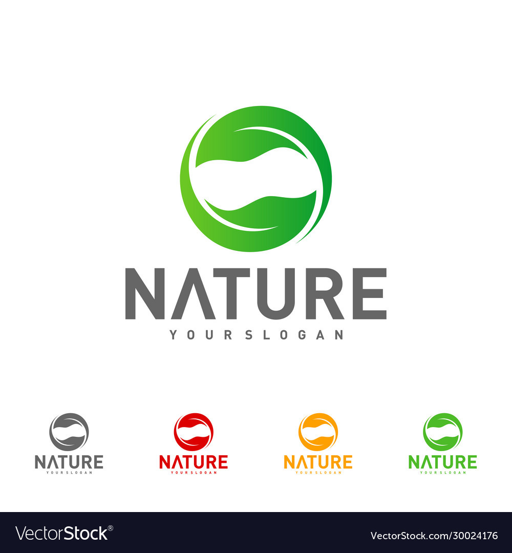 Leaf logo design template nature