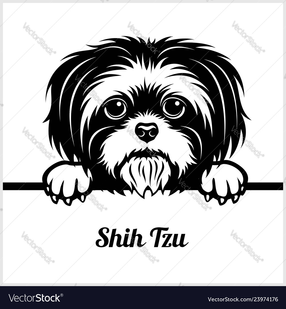 Shih tzu - peeking dogs - - breed face head Vector Image