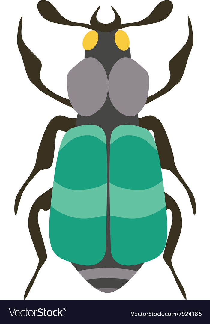 Beetle Flat Insect Bug In Cartoon Style Royalty Free Vector