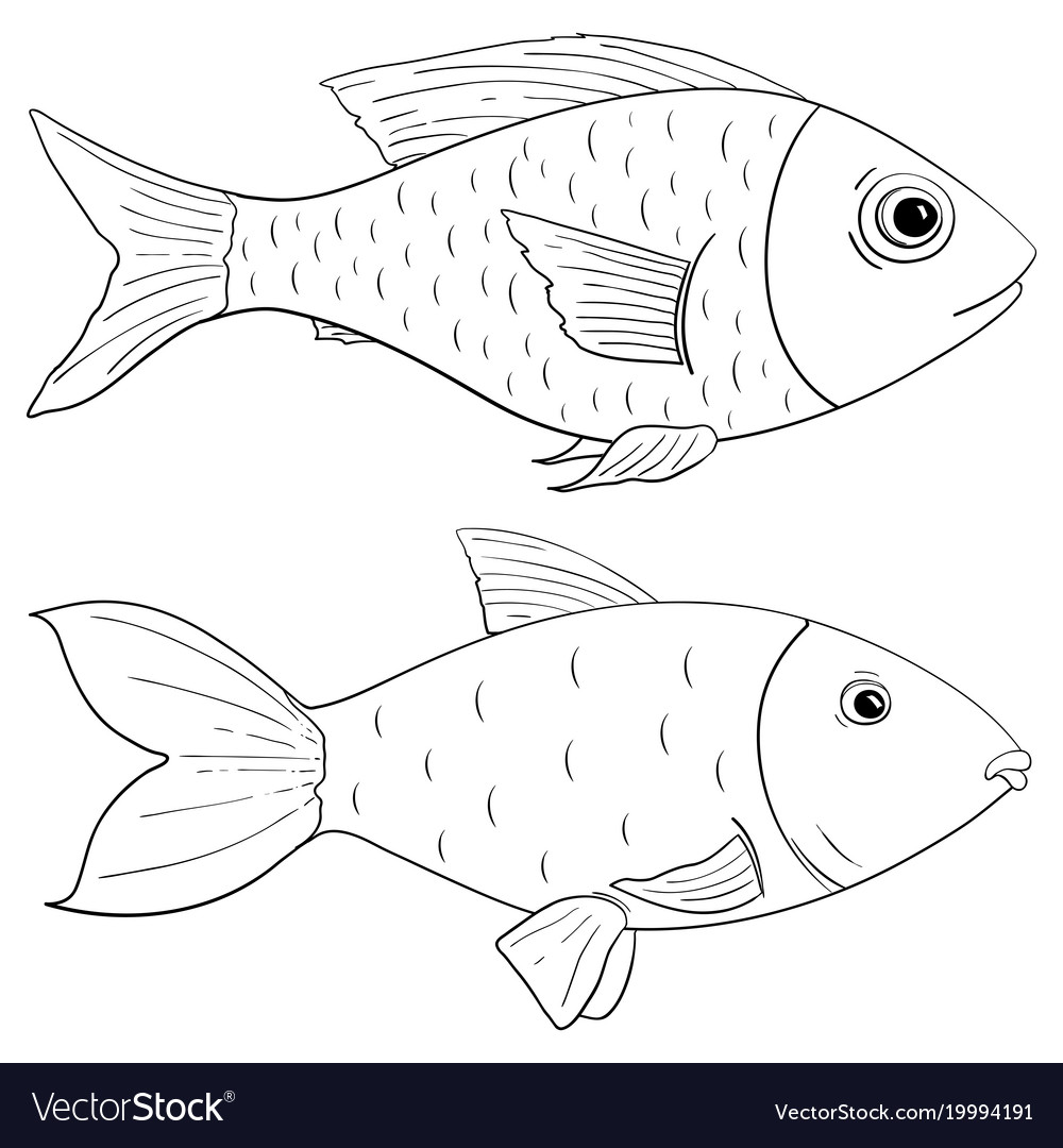 Collection of Amazing Fish Drawing Images in Full 4K Resolution - Over