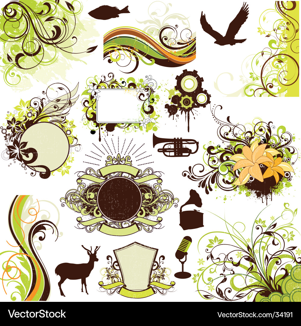 Floral grunge design elements set Royalty Free Vector Image