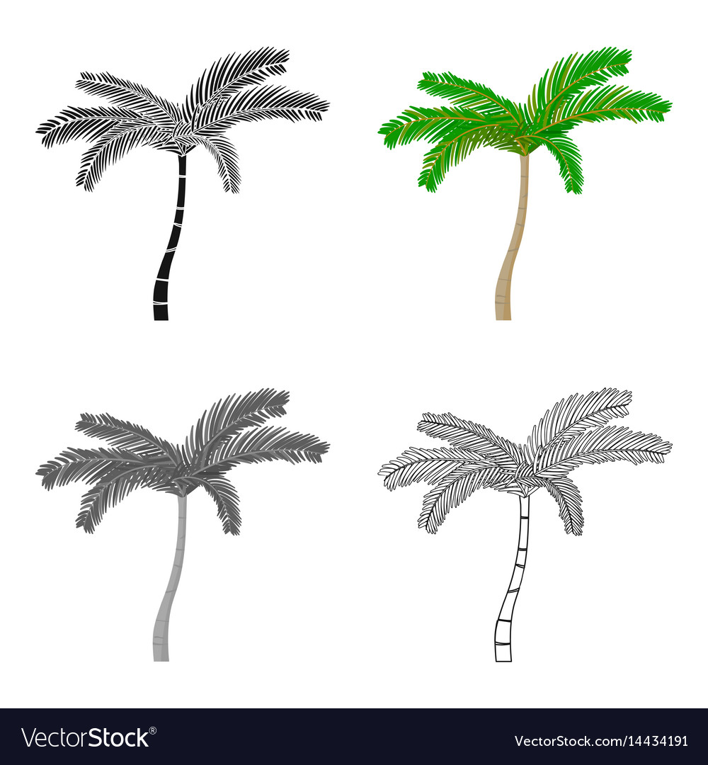 Mexican fan palm icon in cartoon style isolated