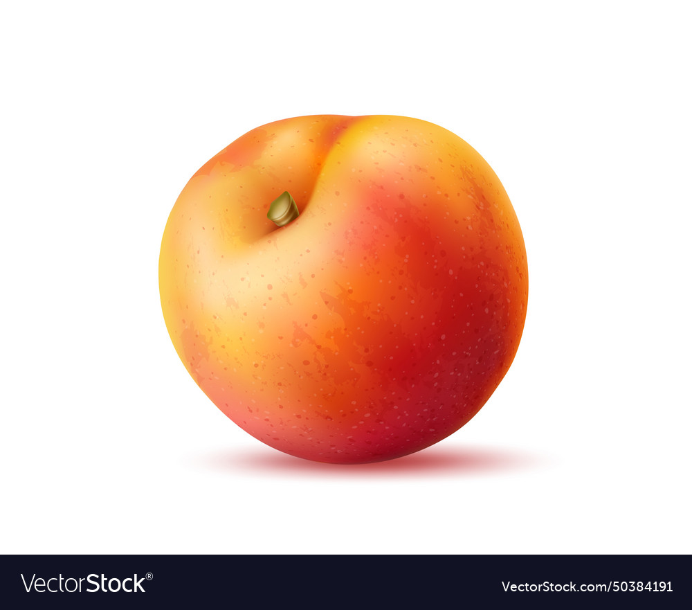 Realistic isolated ripe peach 3d fruit