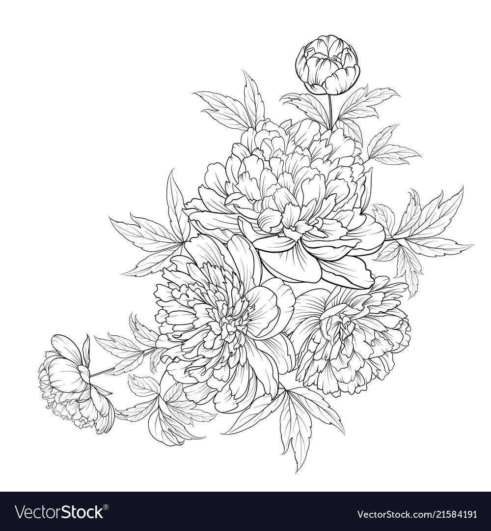 Spring Flowers Bouquet Contour Style Flower Vector Image