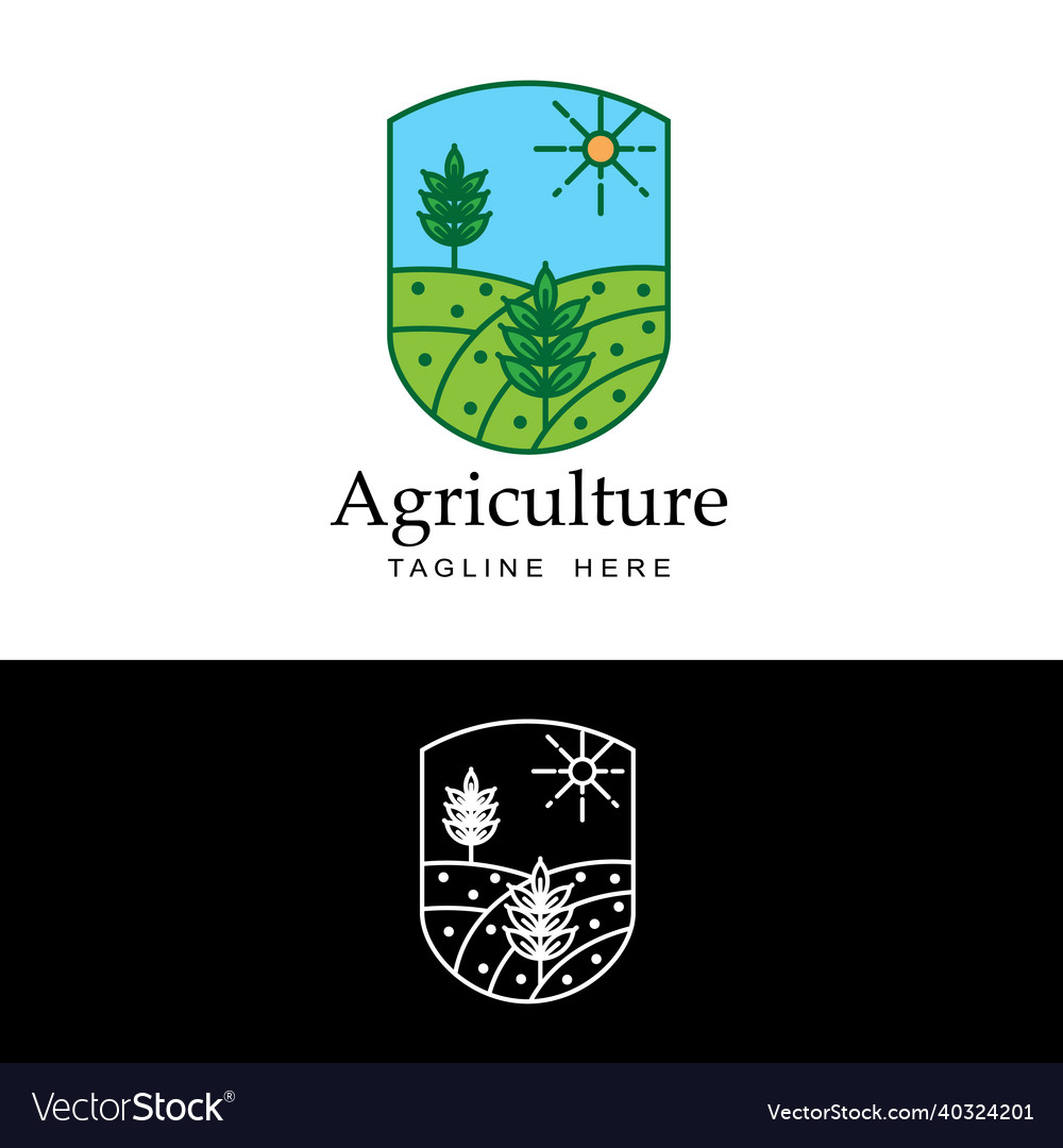 Agriculture wheat logo template design