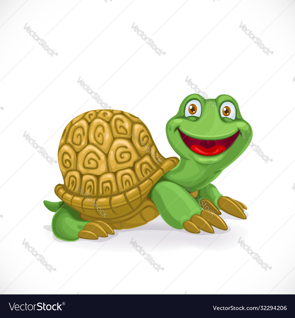 Cartoon baby turtle isolated on white background