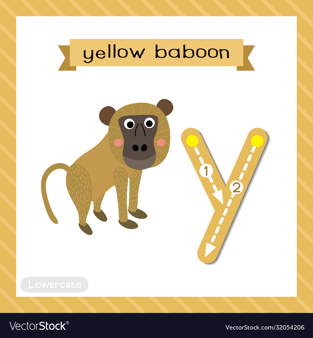 Letter y lowercase tracing yellow baboon monkey