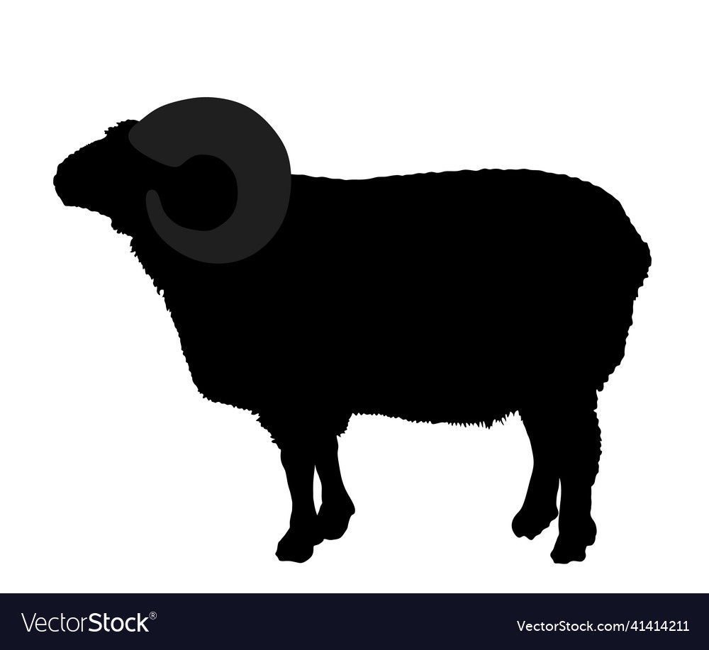 Bighorn ram silhouette