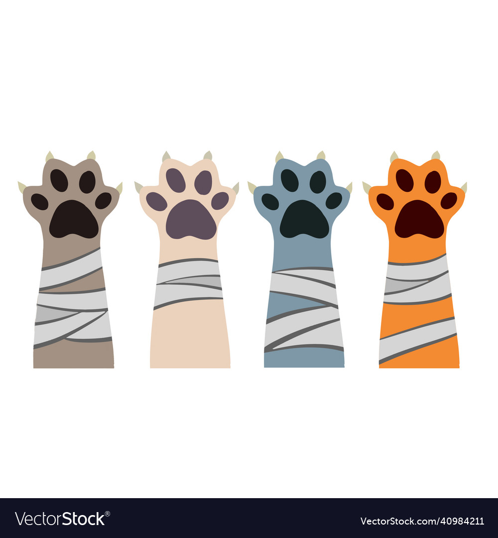 Broken cat paw Royalty Free Vector Image VectorStock