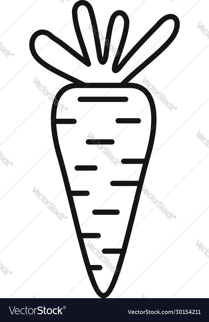 Fresh Carrot Icon Outline Style Royalty Free Vector Image