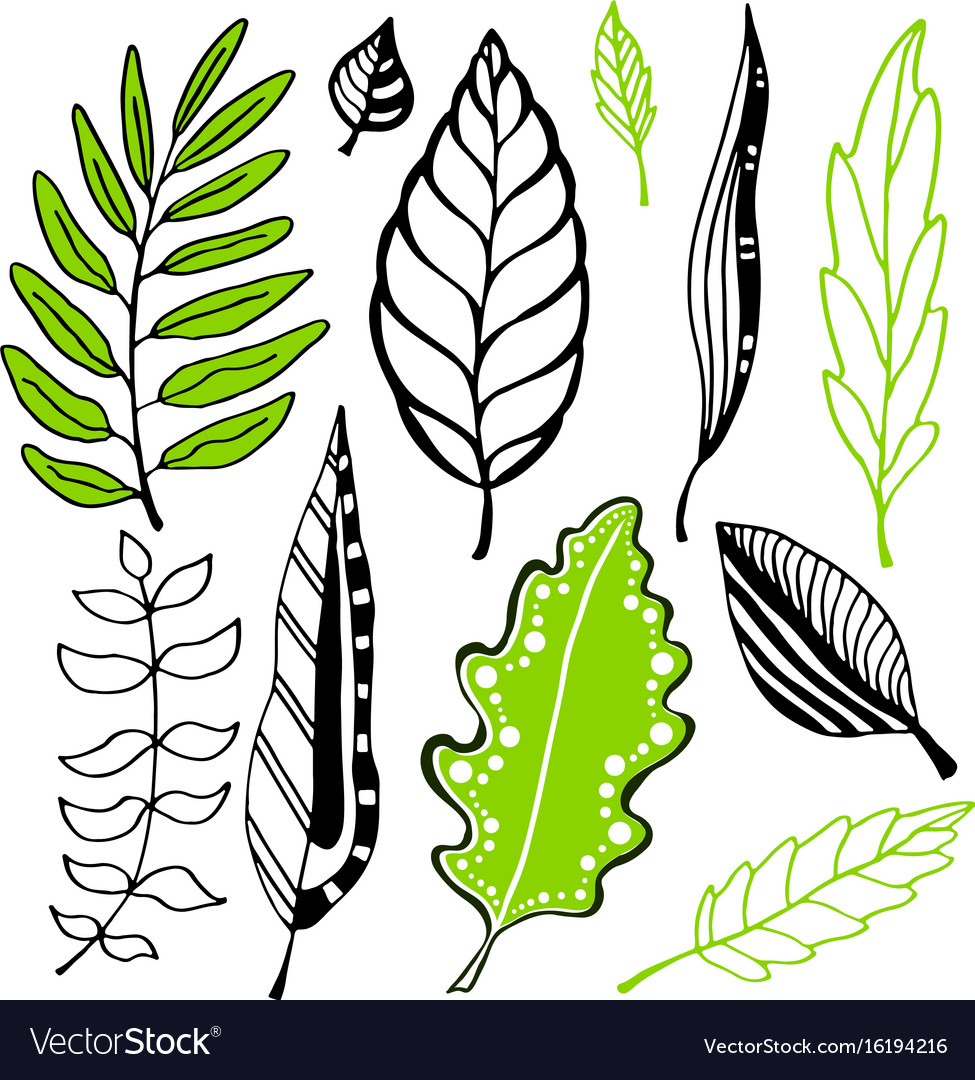 Leaves collection for design decoration Royalty Free Vector