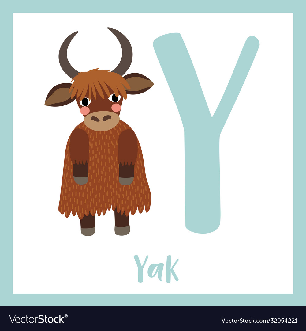 Letter y vocabulary yak standing on two legs