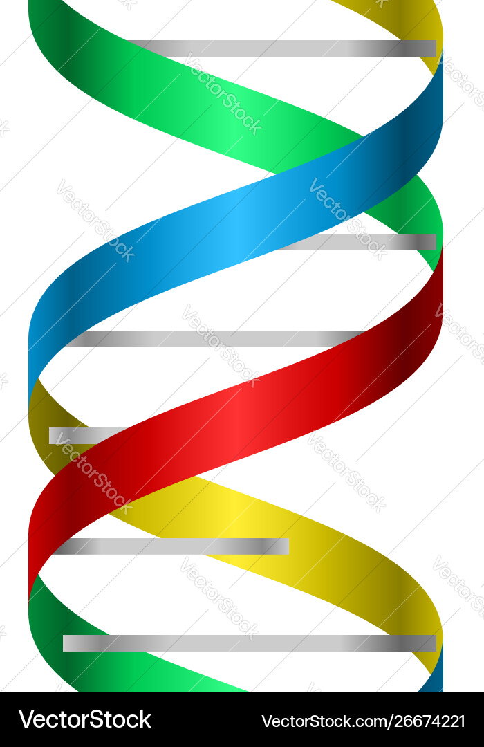 Metallic and colorful dna strand logo icon image Vector Image