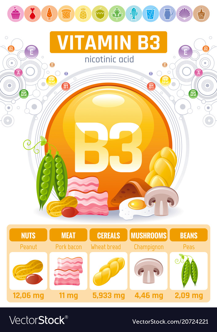 Nicotinic acid vitamin b3 rich food icons healthy Vector Image