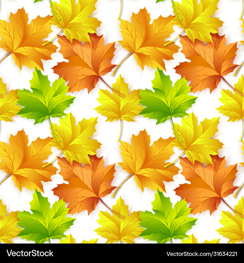 Seamless pattern with autumn maple leaves Vector Image