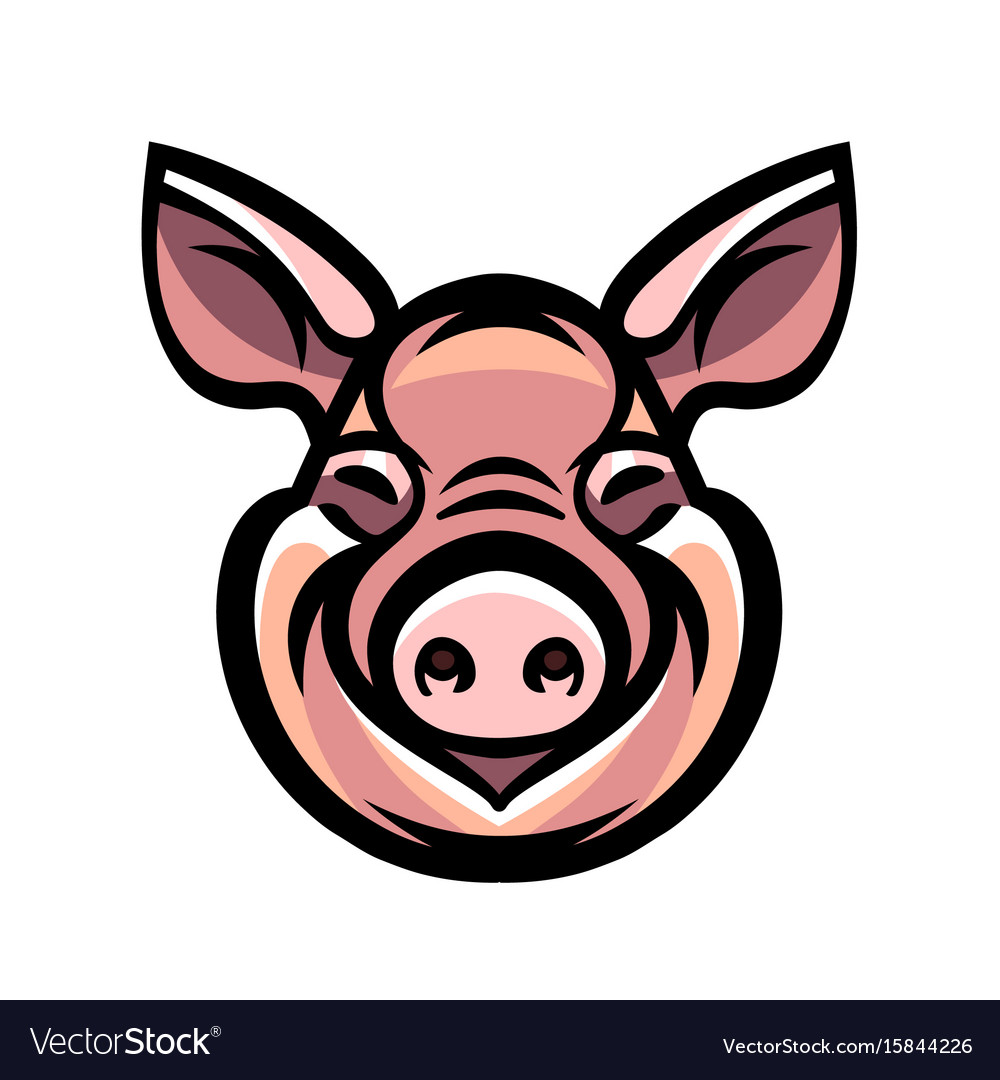 Image of swine head