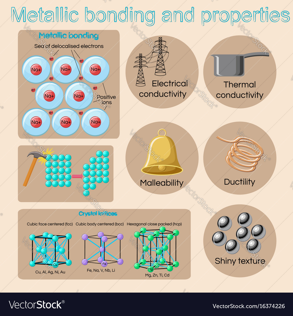 metallic-bonding-and-basic-physical-properties-vector-image