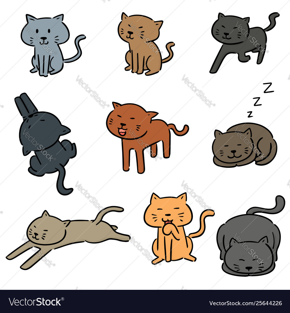 Set cats