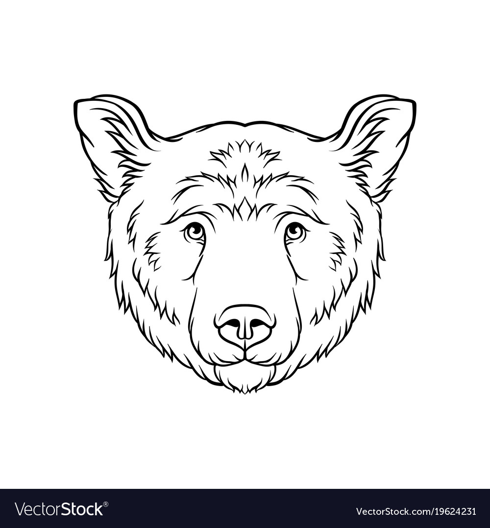 Black And White Sketch Of Bears Head Face Of Wild