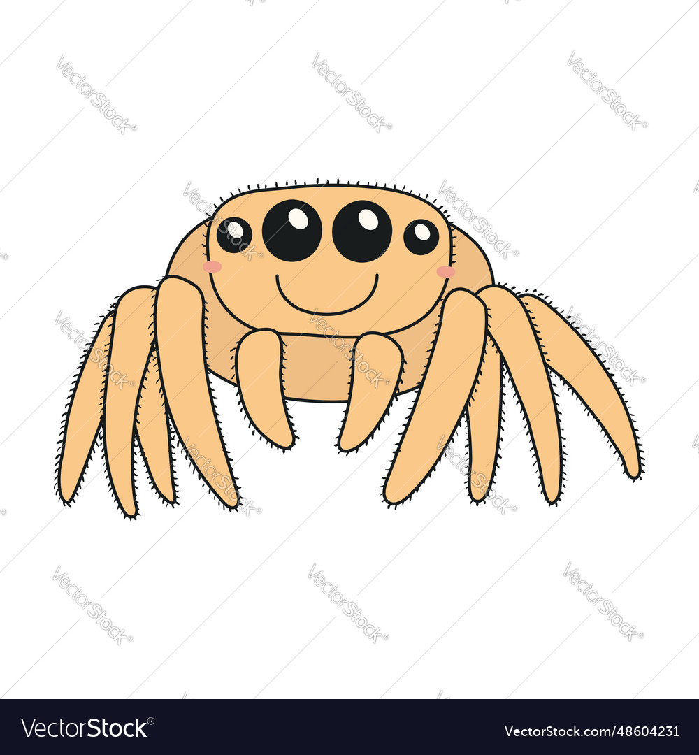 Cute funny jumping spider halloween cartoon Vector Image